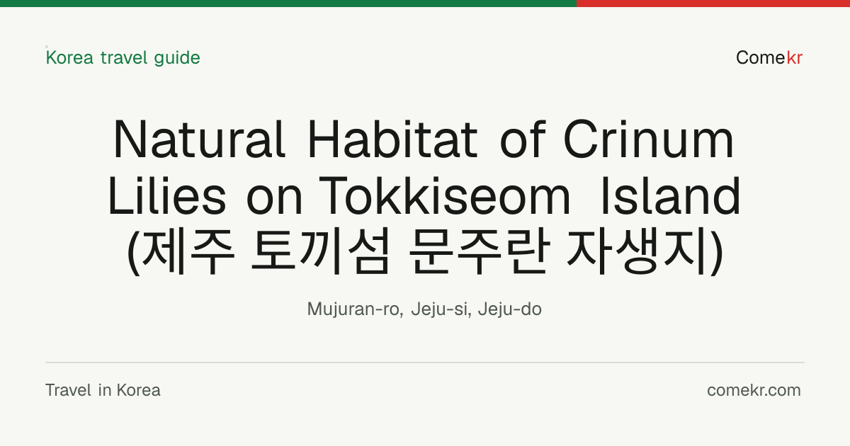 Natural Habitat of Crinum Lilies on Tokkiseom Island (제주 토끼섬 문주란 자생지) travel guide