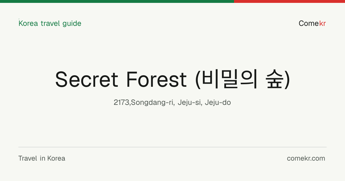 Secret Forest (비밀의 숲) travel guide