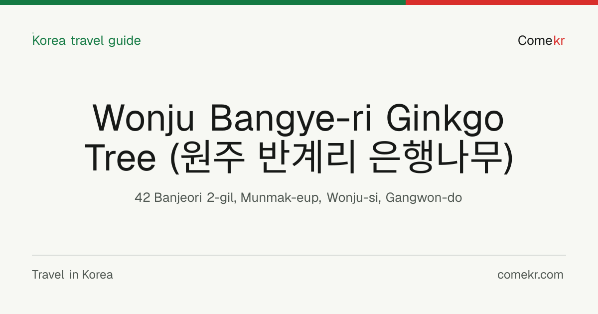 Wonju Bangye-ri Ginkgo Tree (원주 반계리 은행나무) travel guide