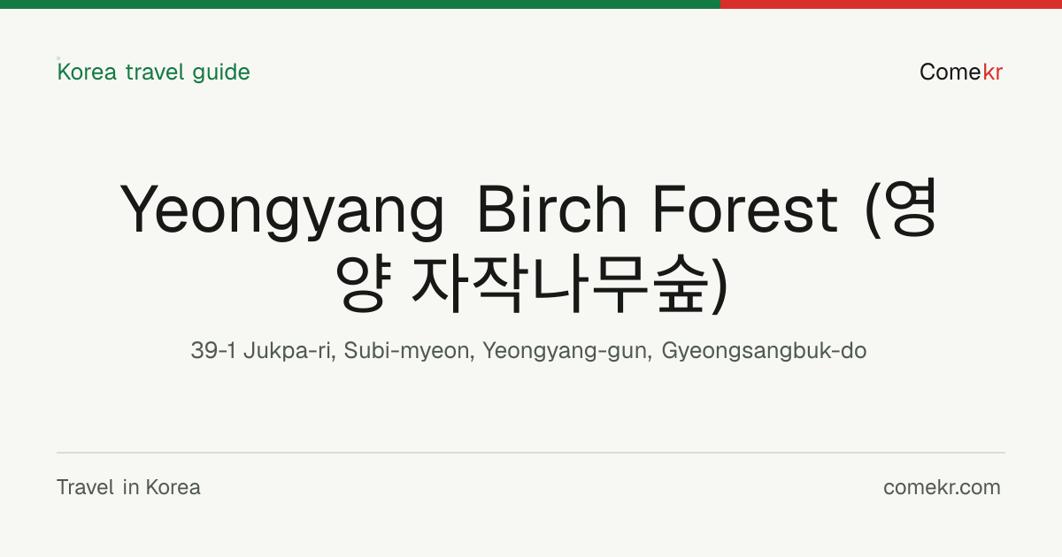 Yeongyang Birch Forest (영양 자작나무숲) travel guide