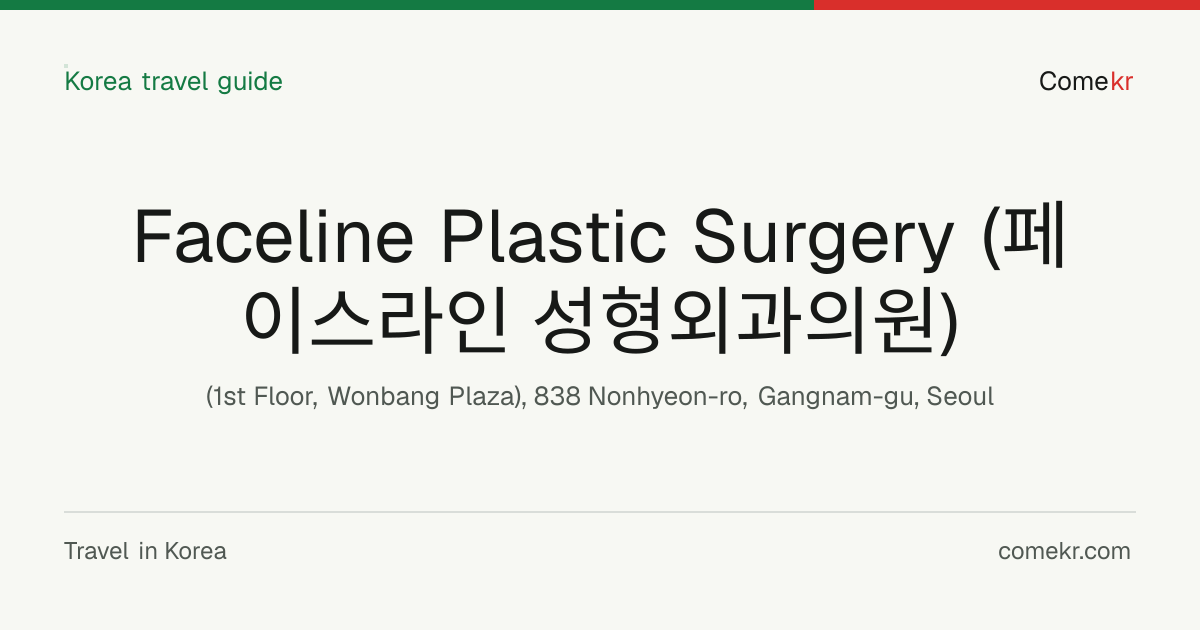 Faceline Plastic Surgery (페이스라인 성형외과의원) travel guide