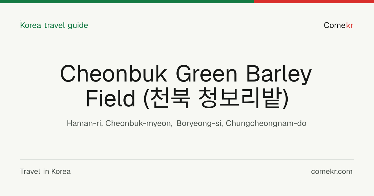 Cheonbuk Green Barley Field  (천북 청보리밭) travel guide