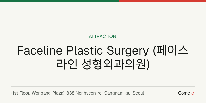 Faceline Plastic Surgery (페이스라인 성형외과의원) travel guide