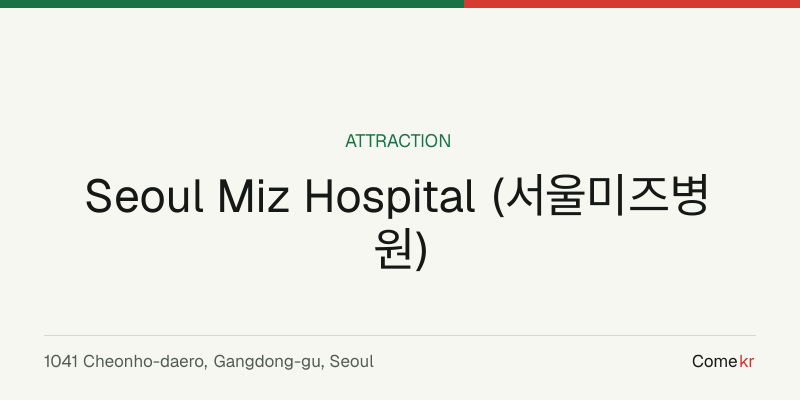 Seoul Miz Hospital (서울미즈병원) travel guide
