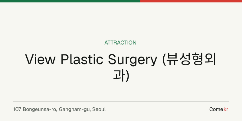 View Plastic Surgery (뷰성형외과) travel guide