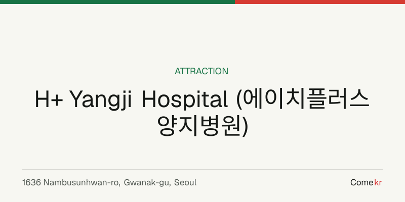 H+ Yangji Hospital (에이치플러스 양지병원) travel guide