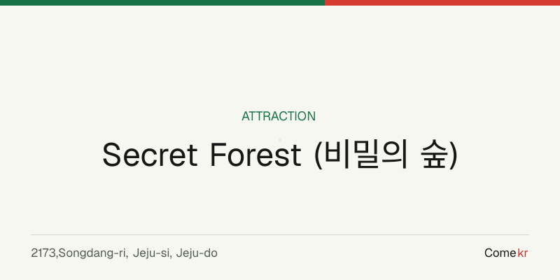 Secret Forest (비밀의 숲) travel guide