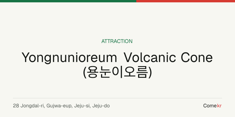 Yongnunioreum Volcanic Cone (용눈이오름) travel guide