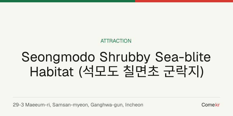Seongmodo Shrubby Sea-blite Habitat (석모도 칠면초 군락지) travel guide