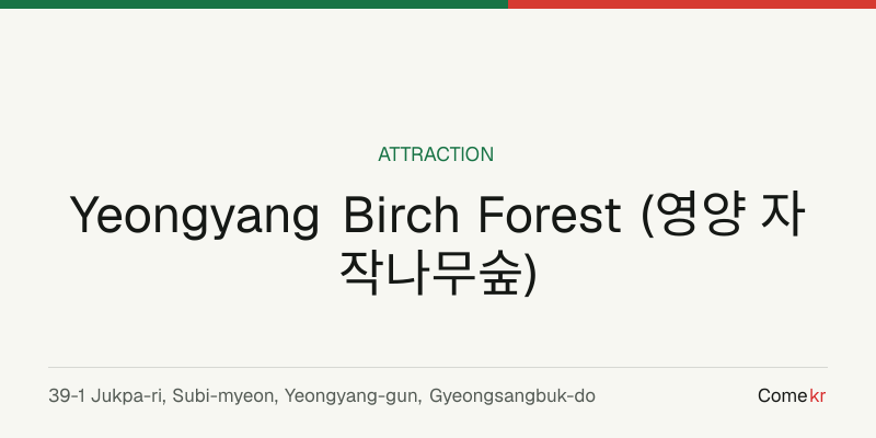 Yeongyang Birch Forest (영양 자작나무숲) travel guide