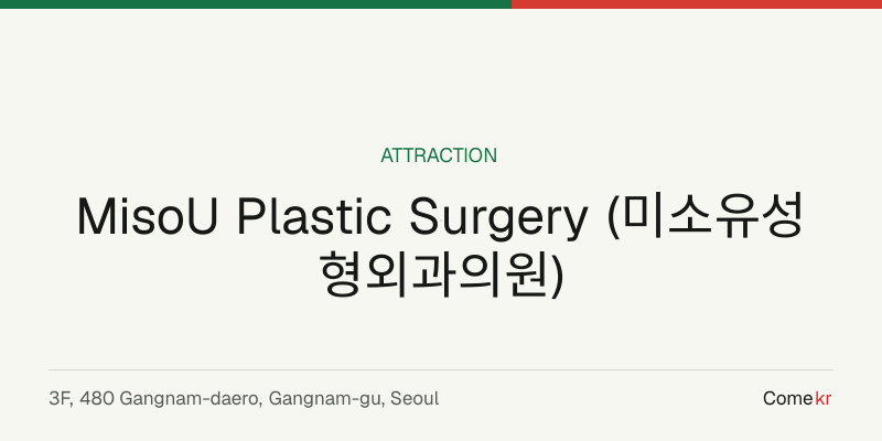 MisoU Plastic Surgery (미소유성형외과의원) travel guide