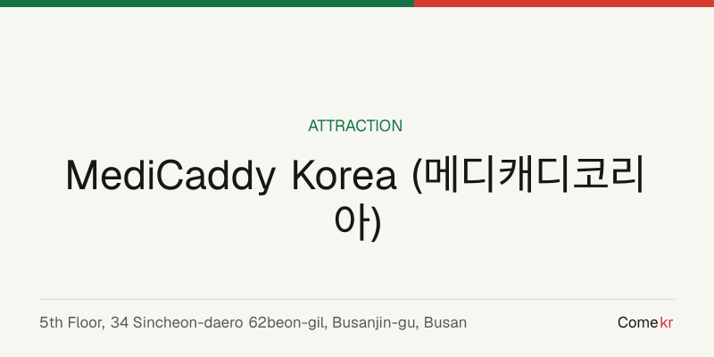 MediCaddy Korea (메디캐디코리아) travel guide