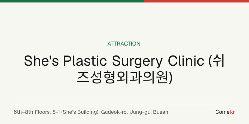 She's Plastic Surgery Clinic (쉬즈성형외과의원) travel guide