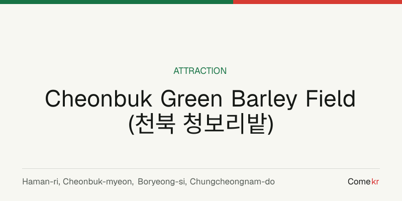 Cheonbuk Green Barley Field  (천북 청보리밭) travel guide