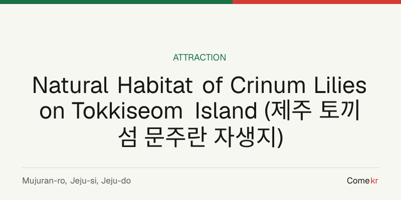 Natural Habitat of Crinum Lilies on Tokkiseom Island (제주 토끼섬 문주란 자생지) travel guide