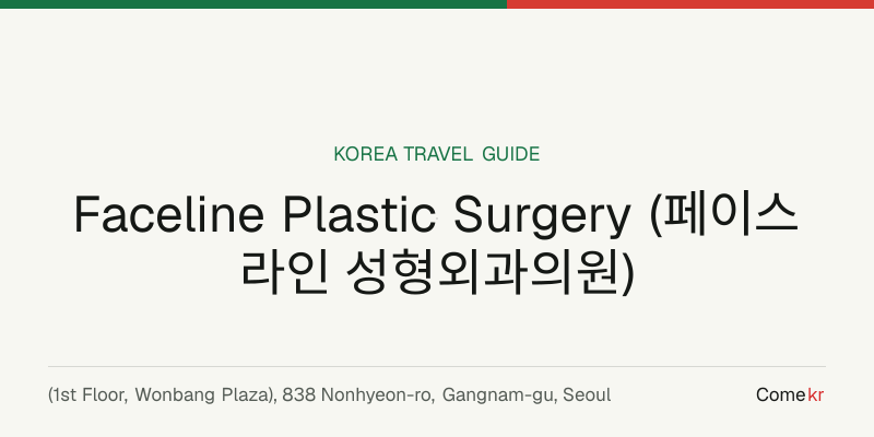 Faceline Plastic Surgery (페이스라인 성형외과의원) travel guide
