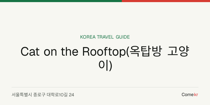 Cat on the Rooftop(옥탑방 고양이) travel guide