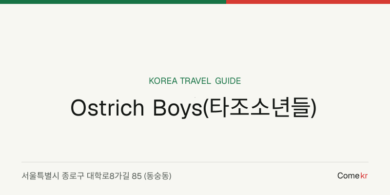 Ostrich Boys(타조소년들) travel guide