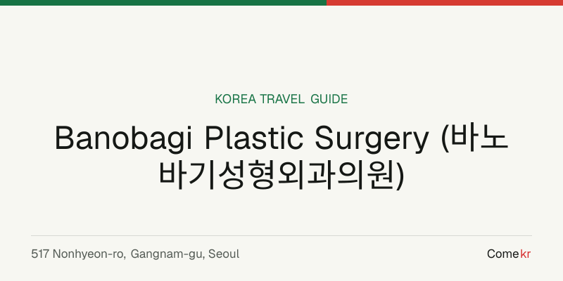 Banobagi Plastic Surgery (바노바기성형외과의원) travel guide
