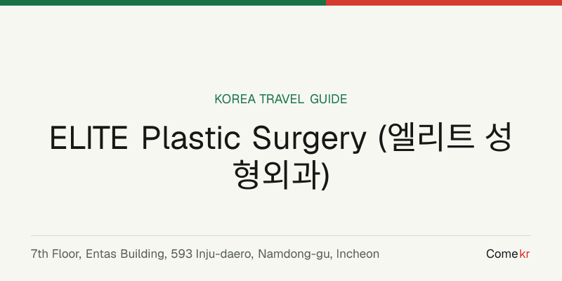 ELITE Plastic Surgery (엘리트 성형외과) travel guide