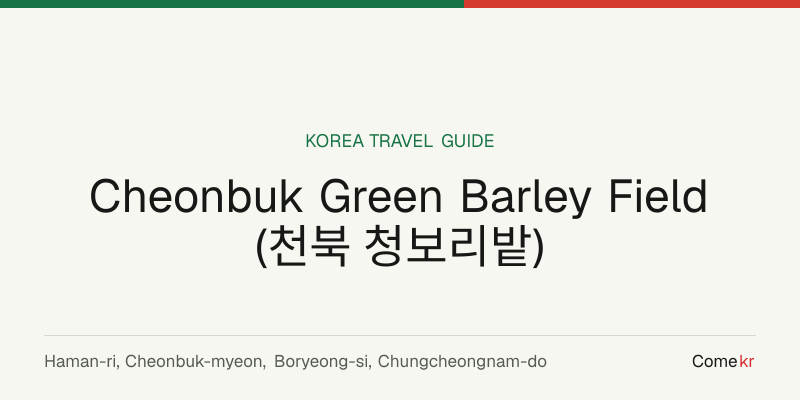 Cheonbuk Green Barley Field  (천북 청보리밭) travel guide