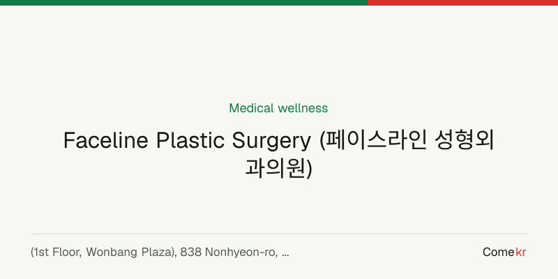 Faceline Plastic Surgery (페이스라인 성형외과의원) wellness guide