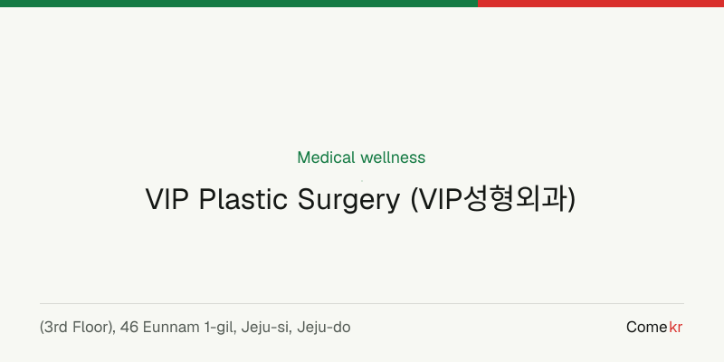 VIP Plastic Surgery (VIP성형외과) wellness guide