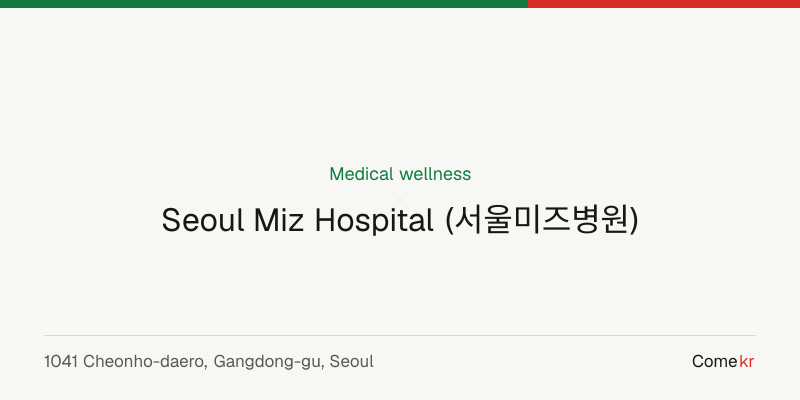 Seoul Miz Hospital (서울미즈병원) wellness guide