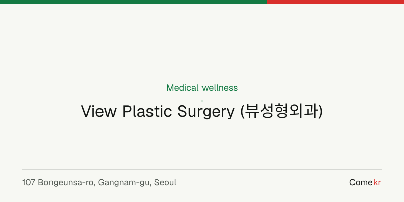 View Plastic Surgery (뷰성형외과) wellness guide