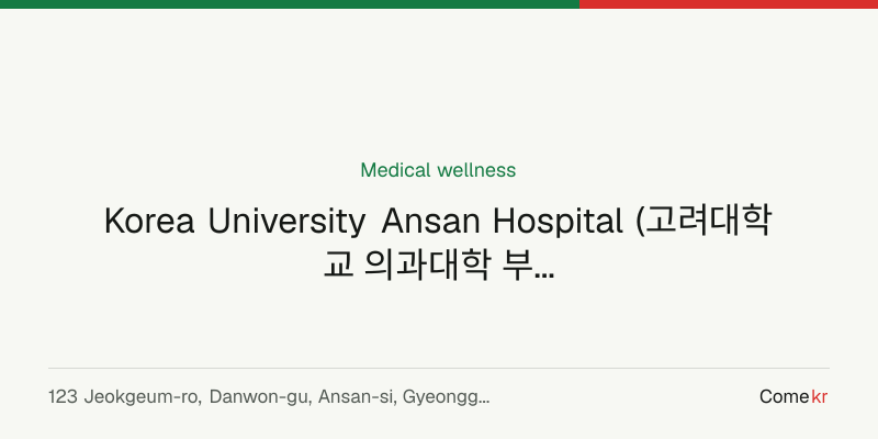 Korea University Ansan Hospital (고려대학교 의과대학 부속 안산병원) wellness guide