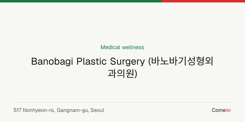Banobagi Plastic Surgery (바노바기성형외과의원) wellness guide